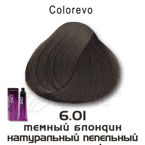 Colorevo 6.01 - темный блондин натуральный пепельный. Серия пепельная ...