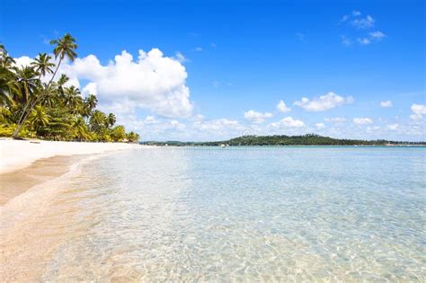 Tropical Beach In Brazil Royalty Free Stock Images - Image: 26909349