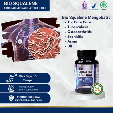 Jual Obat Tbc Paru Paru Infeksi Paru Paru Paru Paru Basah