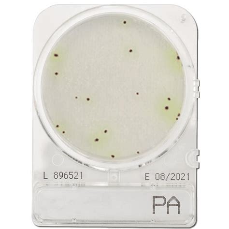 Compact Dry PA Pseudomonas Aeruginosa 40 Stk Food Diagnostics