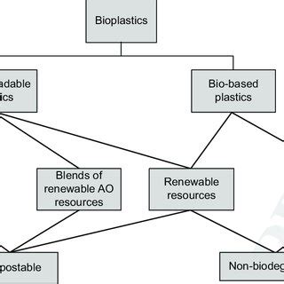 Examples Of Bioplastics