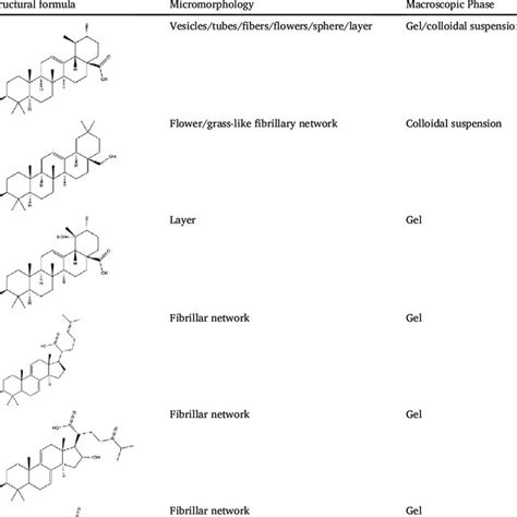 Schematic representation of various supramolecular assembly systems ...