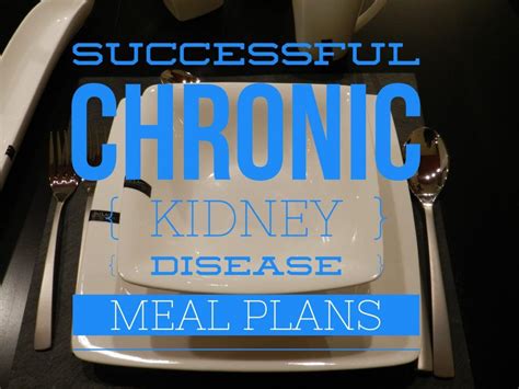 Successful Chronic Kidney Disease Meal Plans | Renal Diet Menu ...