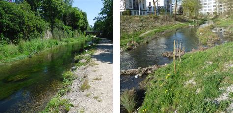 Renaturierung Und Revitalisierung Biodivers