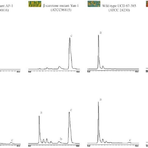 Hplc Chromatograms Comparing Carotenoid Pro¢les Of X Dendrorhous Download Scientific Diagram