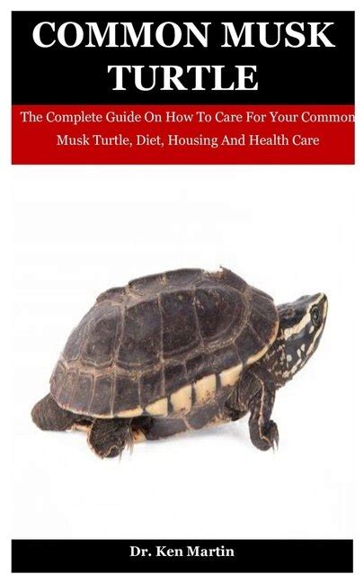 Common Musk Turtle The Complete Guide On How To Care For Your Common