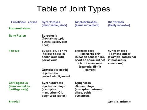 Anatomy lab. 4 joints
