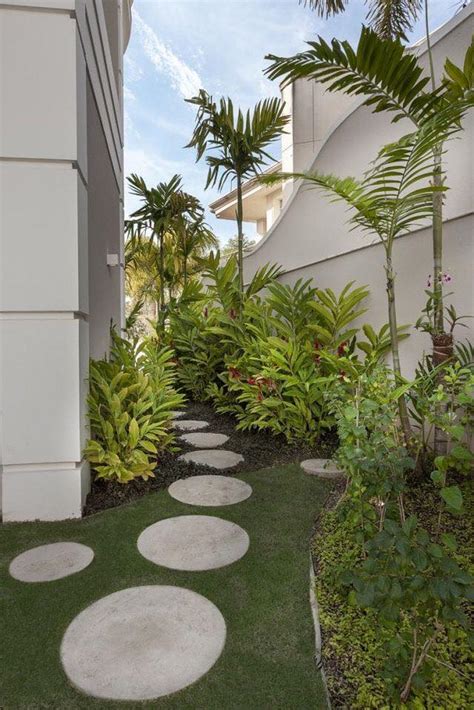 Top 10 Palm Tree & Palm Plant Garden Ideas