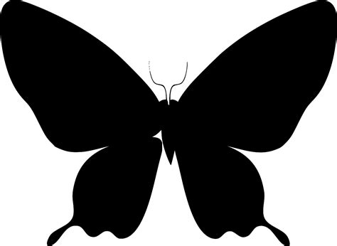 Svg Butterfly Wings Flying Free Svg Image And Icon Svg Silh