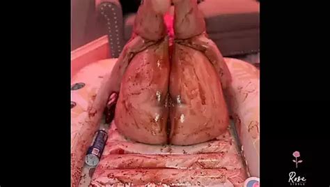 Rose Steele Porn Videos Sex Model Nudes XHamster