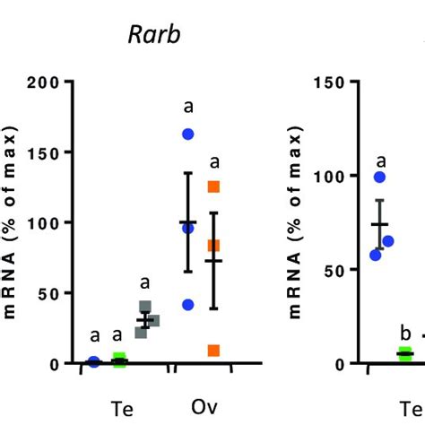 Rar Are Expressed In Germ And Somatic Cells Of Fetal Gonads Analysis