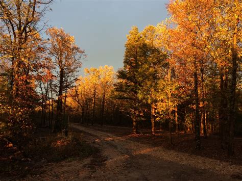 Northwest Arkansas Hunting Lease Acres In Boone Co Lead Hill