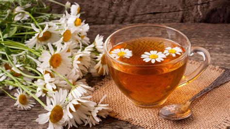 Chá De Camomila Ajuda A Dormir - Receitas naturais que ajudam a dormir melhor - UAI Notícias
