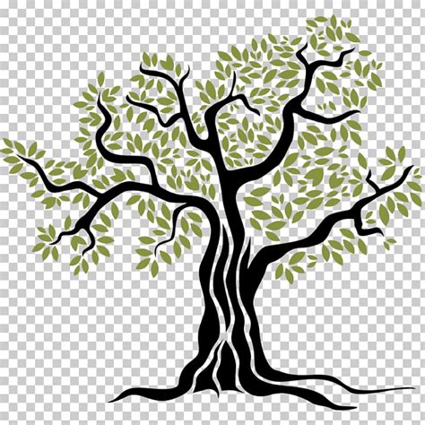 Free Olive Tree Clipart, Download Free Olive Tree Clipart png images ...