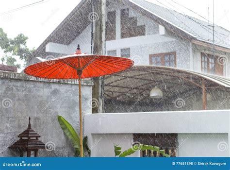 Raining Day In Thailand Stock Photo Image Of Thailand 77651398