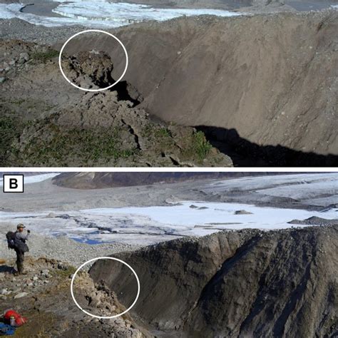 1-Location of the study site on Bylot Island, Nunavut, Canada. Detailed ...