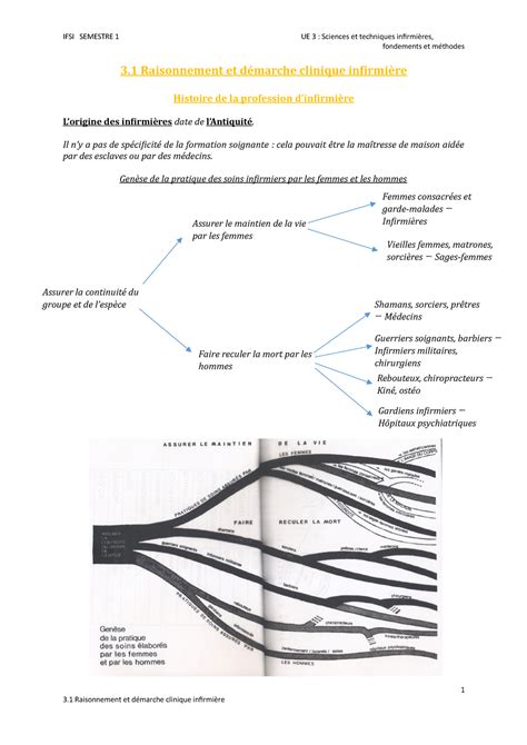 S Ue Cours Ifsi Fondements Et M Thodes Raisonnement Et