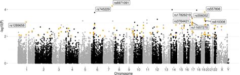 Frontiers Whole Exome Sequencing Analysis Of Human Semen Quality In