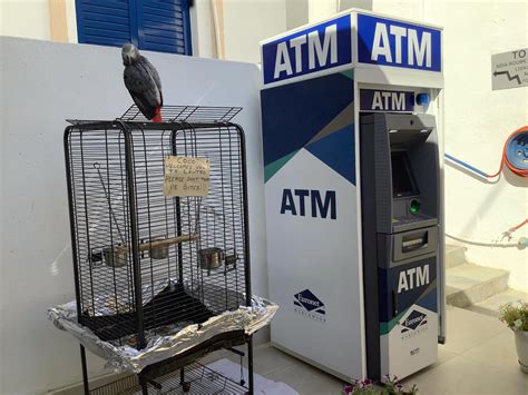 Daskalogiannis Hotel | Sfakiá