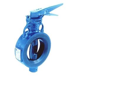 Normex Butterfly Valves At Rs Wafer Butterfly Valve In Nashik