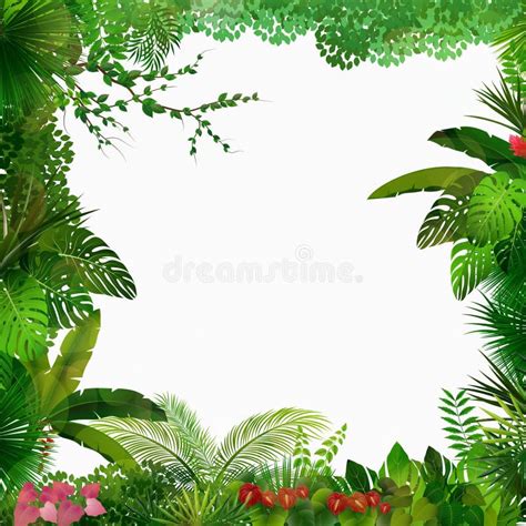 Jungle On White Background Stock Vector Illustration Of Nature