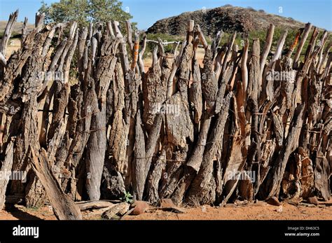 Himba kraal fence hi-res stock photography and images - Alamy