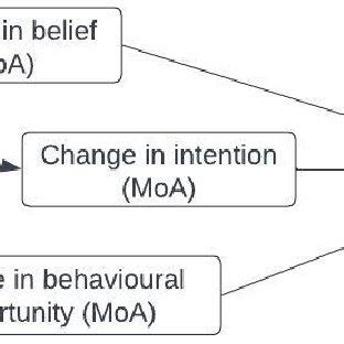 Schematic Representation Of The Links Between An Intervention Its MoAs