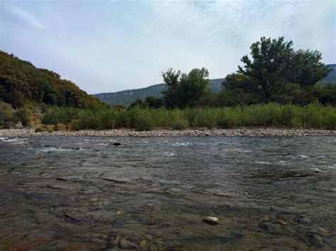 Fuerte corriente de río de montaña en el fondo del bosque Foto Premium