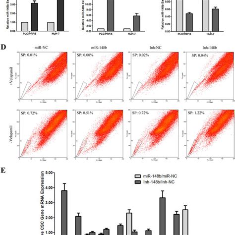 Mir B Inhibition Stimulated Cell Proliferation And Enhanced