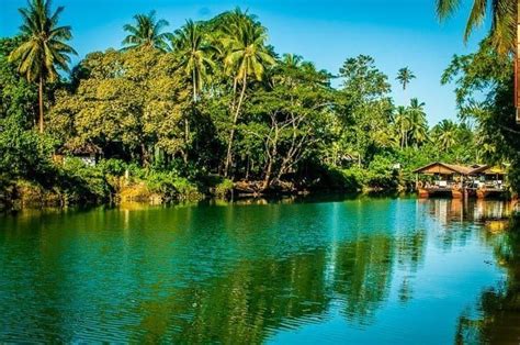 tourist spots  bohol bohol island guide artofit