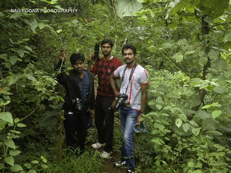 Ananthagiri hills Vikarabad forest trek-trip in hyderabad: A day trip ...