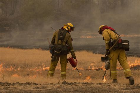 Gov Brown Signs Major Wildfire Reforms Utility Protections Into Law