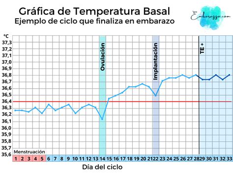 Primeros síntomas de embarazo embarazzo