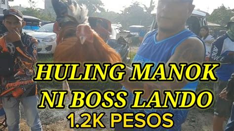 ANG DAMING SOLID NA MANOK SA BOCAUE PET MARKET YouTube