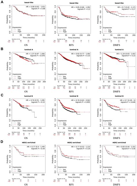 Kaplan Meier Survival Curves Of ACE2 Expression Level In Different