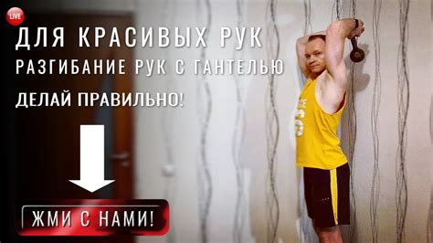 Разгибание рук с гантелями из за головы // Жим гантелей из за головы ...