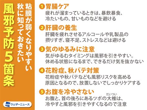 アルコールや甘いものが風邪の引き金に？ 秋の風邪予防5箇条 ウェザーニュース