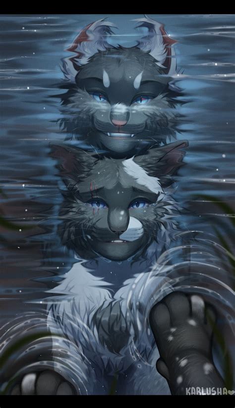 karlusha | Warrior cat drawings, Warrior cats fan art, Warrior cats