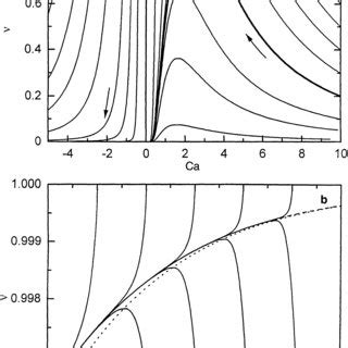 A Integral Curves Of Eq Every Point On The Curves Determines A