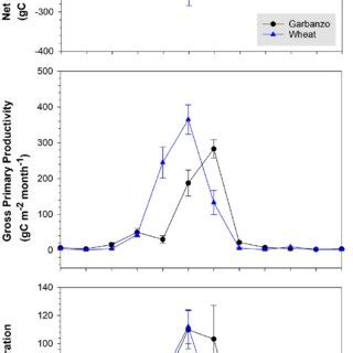 Monthly Carbon Fluxes Top Net Ecosystem Exchange Middle Gross