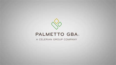 Palmetto GBA Palmetto GBA 1 Online Provider Services On Vimeo