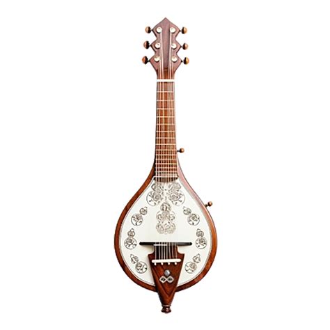 Beautiful Sitar Classical Music Instrument White Background 3d Music