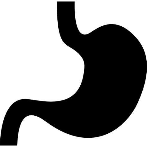 Body Parts Shape Organs Stomach Silhouette Organ Medical Internal Human Body Parts Icon