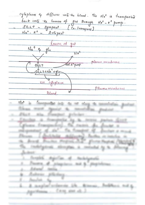 Solution Absorption Of Carbohydrates And Proteins Studypool