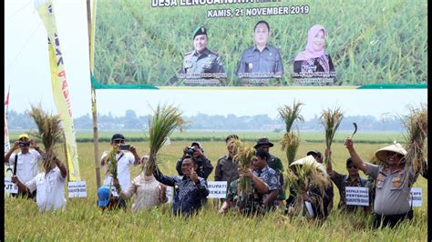 Pemkab Bekasi Akan Perketat Alih Fungsi Lahan Pertanian YouTube