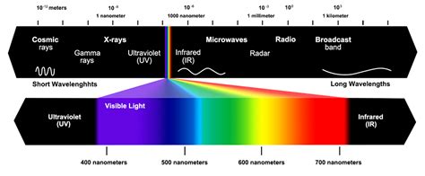 What is The Light Spectrum – How does spectrum affect plant growth ...