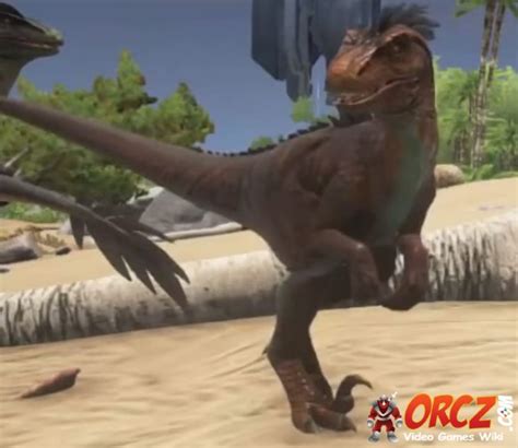 ARK Survival Evolved: Raptor - Orcz.com, The Video Games Wiki