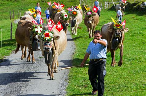 10 Typically Swiss Celebrations Swiss Society