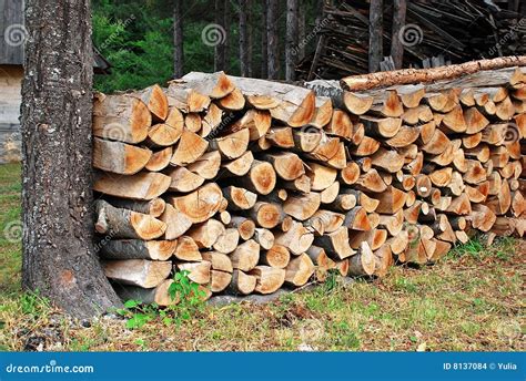 Wood Pile Stock Photo Image Of Brown Heating Firewood 8137084