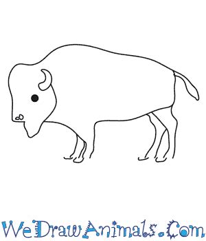 Buffalo Animal Drawing